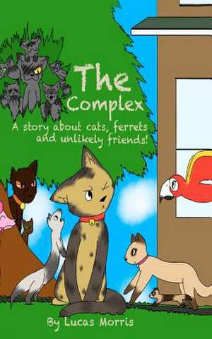 The Complex de Lucas James Morris