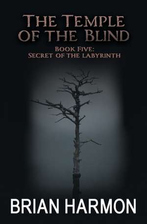 Secret of the Labyrinth de Brian Harmon