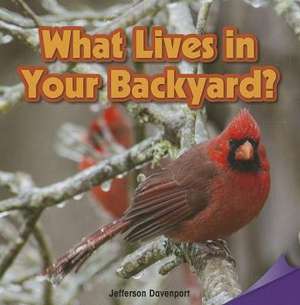 What Lives in Your Backyard? de Jefferson Davenport