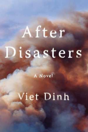 After Disasters de Viet Dinh