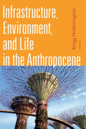 Infrastructure, Environment, and Life in the Anthropocene de Kregg Hetherington