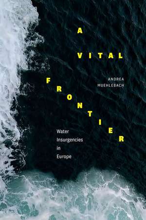 A Vital Frontier – Water Insurgencies in Europe de Andrea Muehlebach