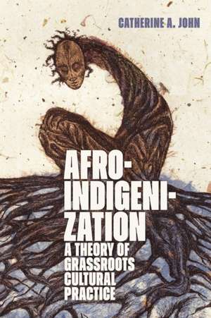 Afroindigenization de Catherine A. John