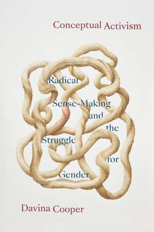 Conceptual Activism de Davina Cooper