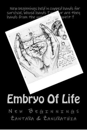 Embryo of Life: An Analysis Utilizing Established Norms and Five Non-Western Case Studies de Zantara