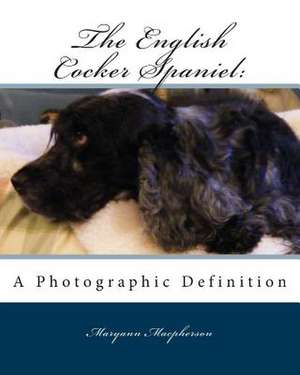 English Cocker Spaniel de Maryann MacPherson