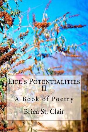 Life's Potentialities: Inversion & Introversion de Briea St Clair