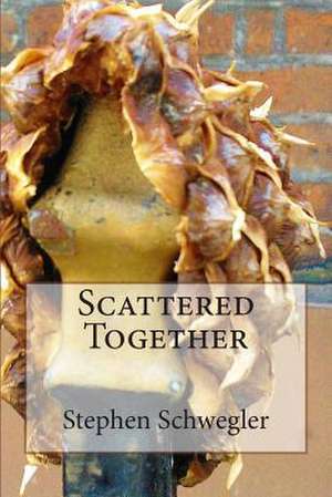 Scattered Together de Stephen Schwegler