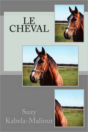 Le Cheval: Eight Stories of Women Who Got Rid of the Biggest Problem in Their Lives? de Suzy Kabela-Malinur