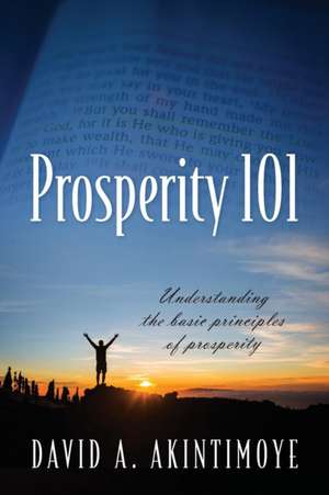 Prosperity 101 de David A Akintimoye