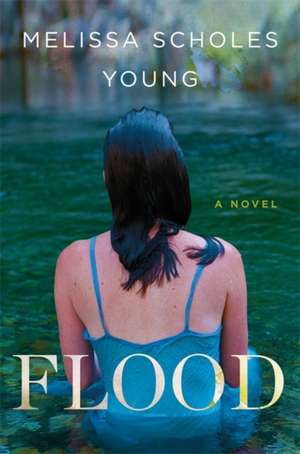 Flood: A Novel de Melissa Scholes Young