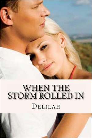 When the Storm Rolled in: What Factors Caused the U.S. Debt Crisis and Who Is at Fault? de Delilah Kay Fondren