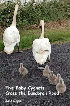 Five Baby Cygnets Cross the Bundoran Road: King James Version de Jane Gilgun