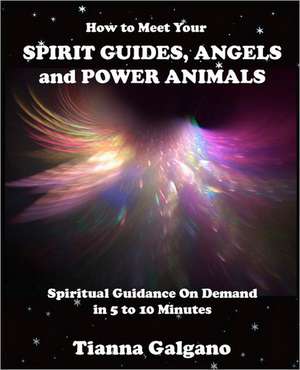 How to Meet Your Spirit Guides, Angels and Power Animals: Spiritual Guidance on Demand in 5 to 10 Minutes, a Practical Guide de MS Tianna a. Galgano