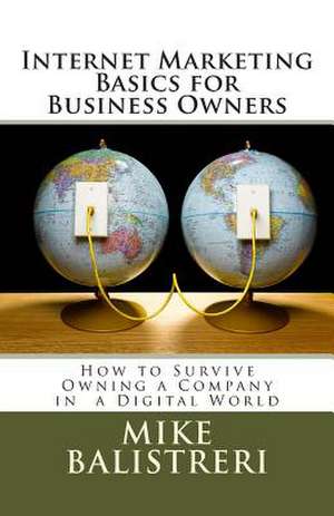 Internet Marketing Basics for Business Owners de MR Mike Joseph Balistreri