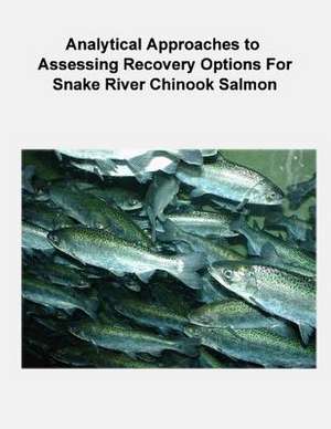 Analytical Approaches to Assessing Recovery Options for Snake River Chinook Salmon de Phaedra Budy