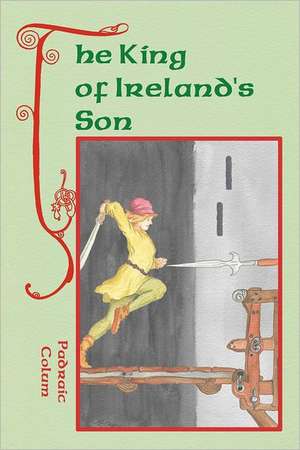 The King of Ireland's Son: The Demise of the State and the Rise of Voluntary America de Padraic Colum