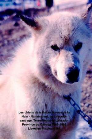 Les Chiens de Traineau Et Vues de La Nain - Nunatsiavut, Au Labrador Sauvage, Terre-Neuve-Et-Labrador Province Du Canada 1965-1966: Photo Albums de Llewelyn Pritchard Ma