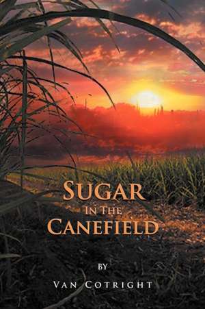 Sugar in the Canefield de Van Cotright