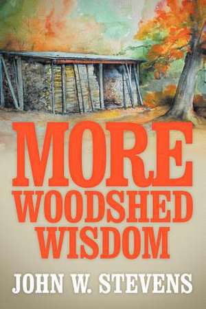 More Woodshed Wisdom de John W. Stevens