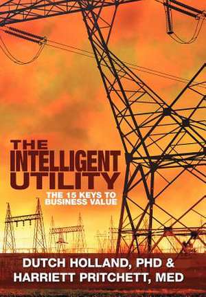 The Intelligent Utility de Dutch Holland