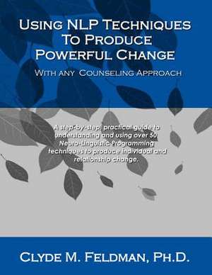 Using Nlp Techniques to Produce Powerful Change with Any Counseling Approach de Clyde M. Feldman