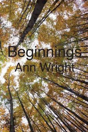 Beginnings de Ann Wright