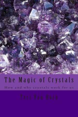 The Magic of Crystals de Teri Van Horn