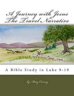 The Travel Narrative Luke 9-19 de Mary M. Cooney