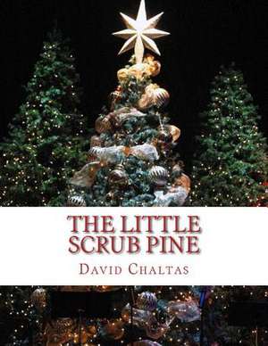 The Little Scrub Pine de David Chaltas