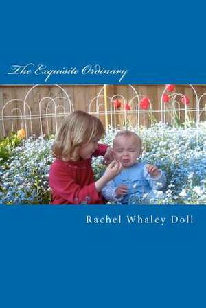 The Exquisite Ordinary de Rachel Whaley Doll