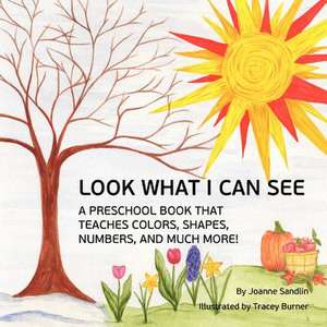 Look What I Can See de Joanne Sandlin