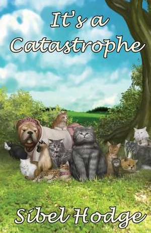 It's a Catastrophe de Sibel Hodge