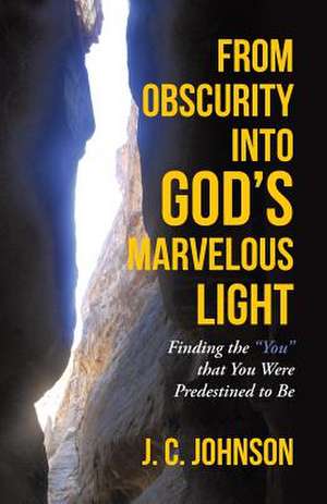 From Obscurity Into God's Marvelous Light: Finding the You That You Were Predestined to Be de J. C. Johnson