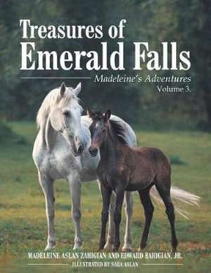 Treasures of Emerald Falls de Madeleine Aslan Zahigian