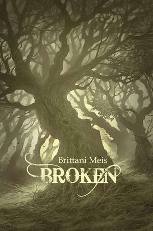 Broken de Brittani Meis