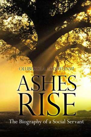 Ashes Rise de Olubukola Akinwunmi