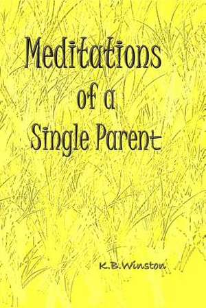 Meditations of a Single Parent de K. B. Winston