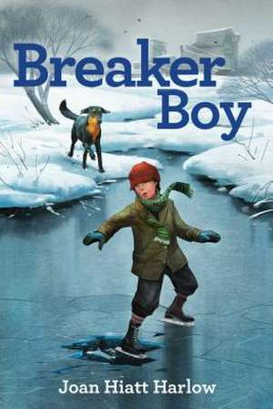 Breaker Boy de Joan Hiatt Harlow