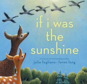 If I Was the Sunshine de Julie Fogliano