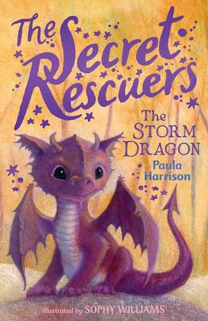 The Storm Dragon de Paula Harrison