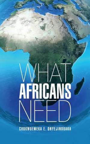 What Africans Need de Chukwuemeka E. Onyejinduaka