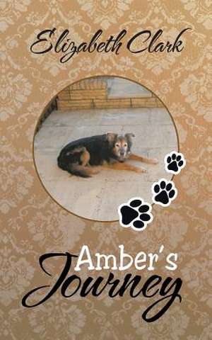 Amber's Journey de Elizabeth Clark