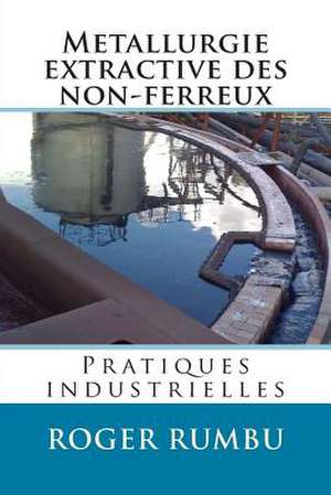 Metallurgie Extractive Des Non-Ferreux - Pratiques Industrielles de Roger Rumbu