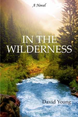 In the Wilderness de David Young