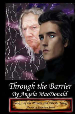 Through the Barrier de Angela MacDonald