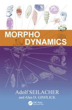 Morphodynamics de Adolf Seilacher