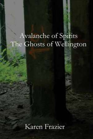 Avalanche of Spirits de Karen Frazier