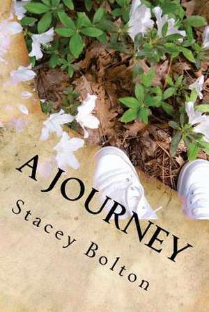 A Journey de Stacey M. Bolton