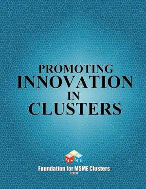 Promoting Innovation in Clusters de A. S. Rao